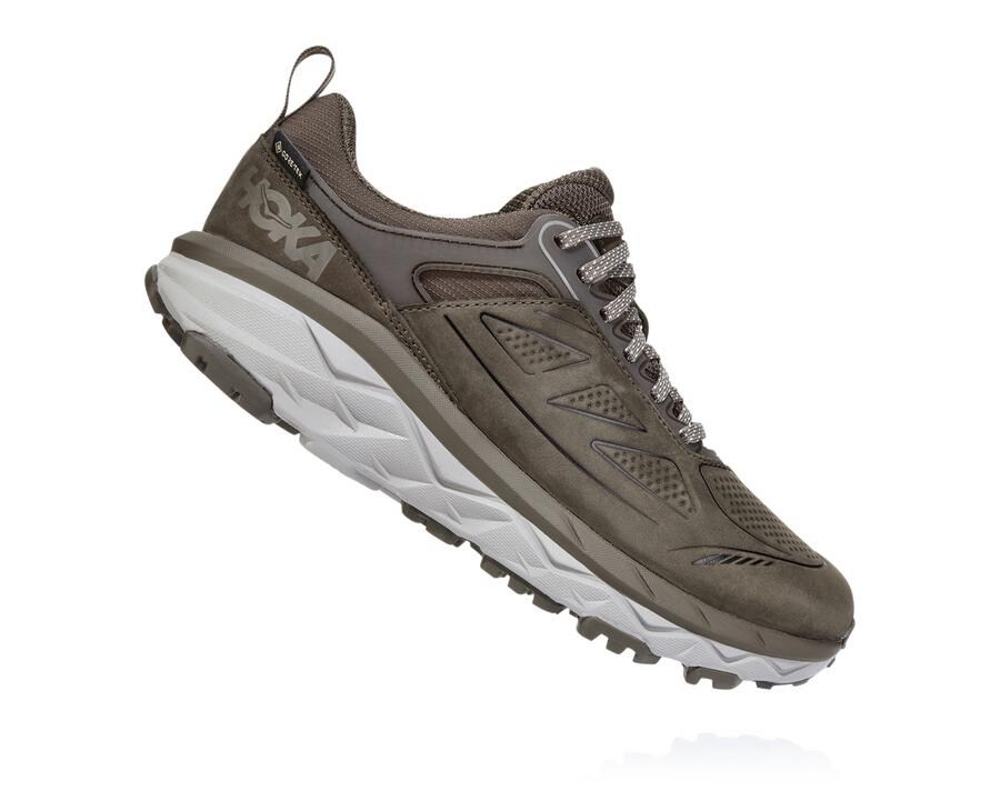 Hoka One One Challenger Låga Gore-Tex Trailskor Dam - Bröst - WNICX-6184